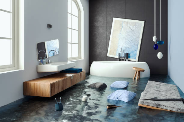 Water damage restoration process in DE