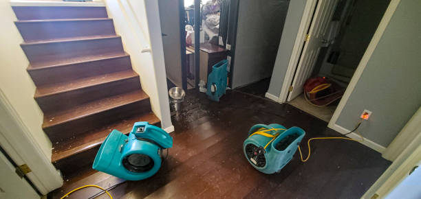 Best Ceiling water damage repair  in North Star, DE