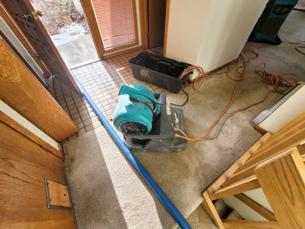 Best Professional water damage repair  in North Star, DE
