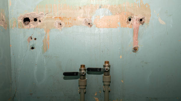 Best Water damage restoration near me  in North Star, DE