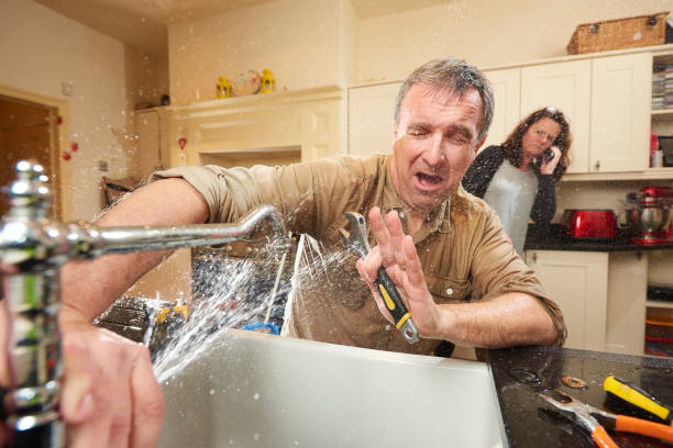 Best Water damage restoration process  in North Star, DE